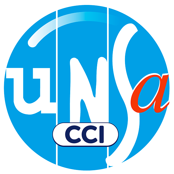 Statuts UNSA-CCI  Octobre 2024